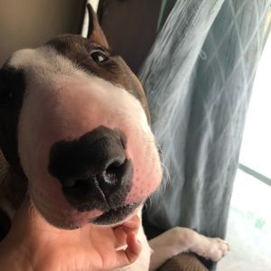 Meet your Posher, Jade